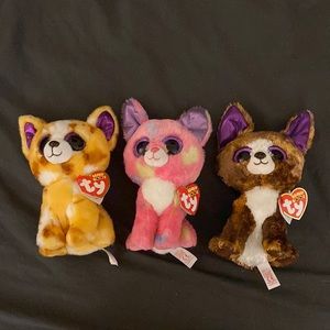 3 Chihuahua Beanie Boos - Pablo, Cancun, and Dexter